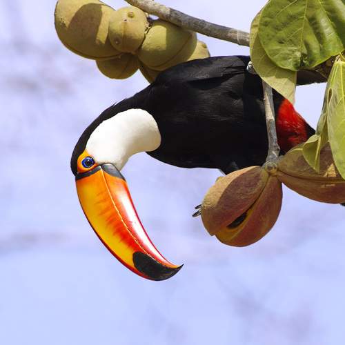 Photo #7612339