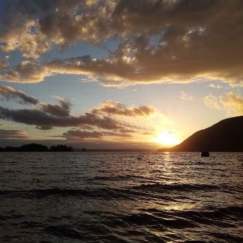 Photo #7612420