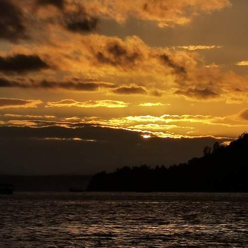 Photo #7612435