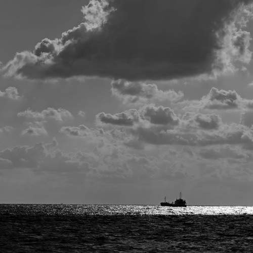 Photo #7612518