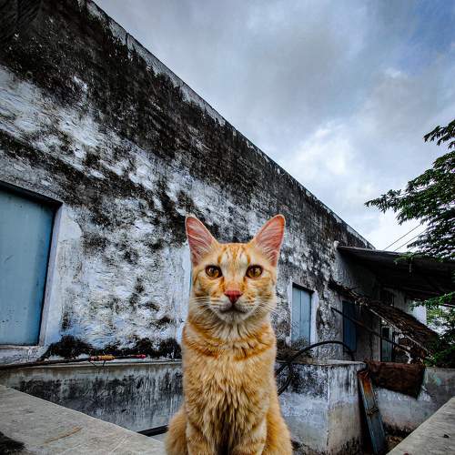 Photo #7612648