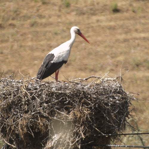 Photo #7612724