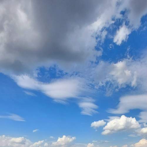 Photo #7612749