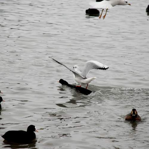 Photo #7612816