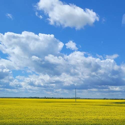 Photo #7612842