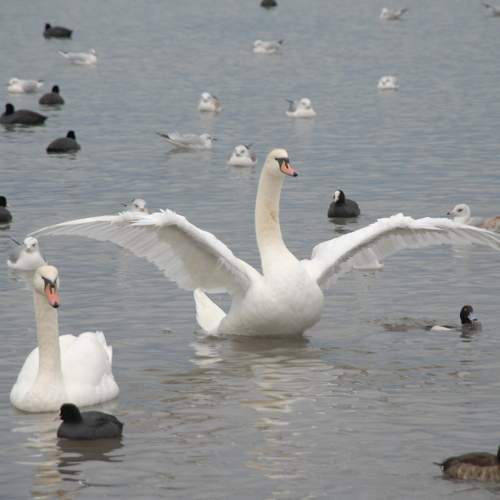 Photo #7612911