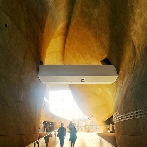 Photo #7613166