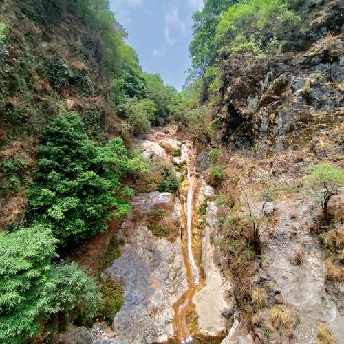 Photo #7613398