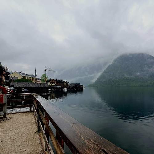 Photo #7613400