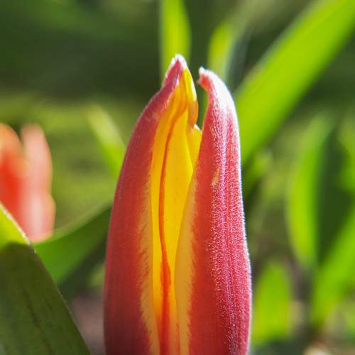 Photo #7613587