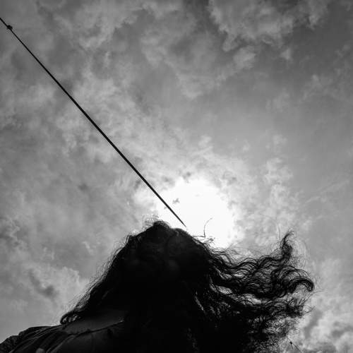 Photo #7613690