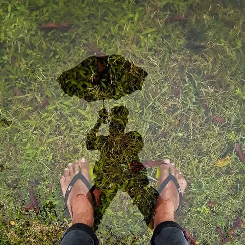 Into the mirror world!