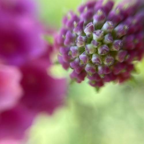 Photo #7613803