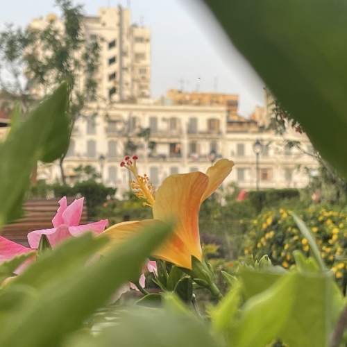 Photo #7613812