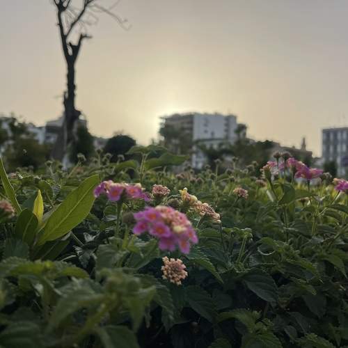 Photo #7613813