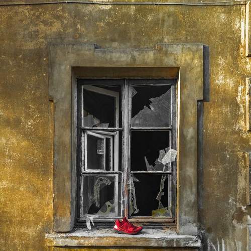 Photo #7613814