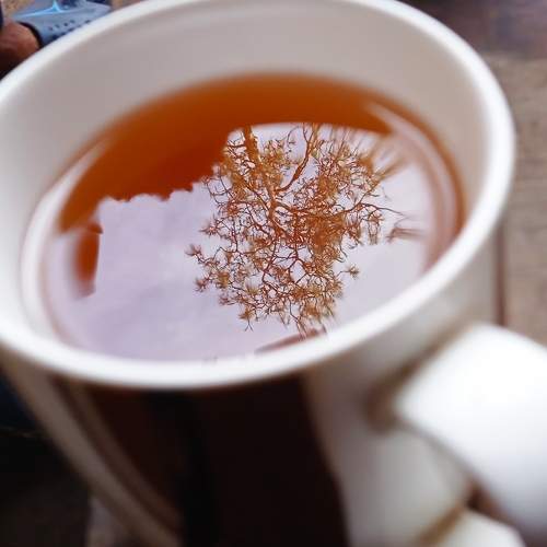 Photo #7613841