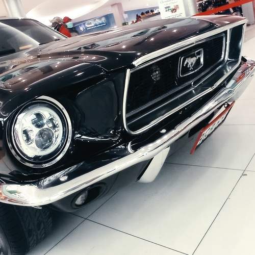 Photo #7613842