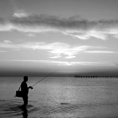 Photo #7613864