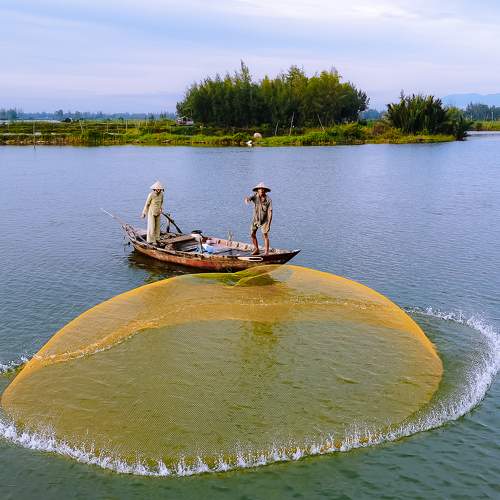Cast a net to catch fish!
