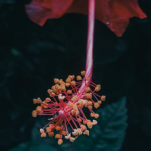Photo #7614211