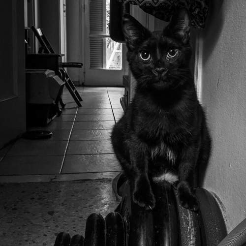 Photo #7614391