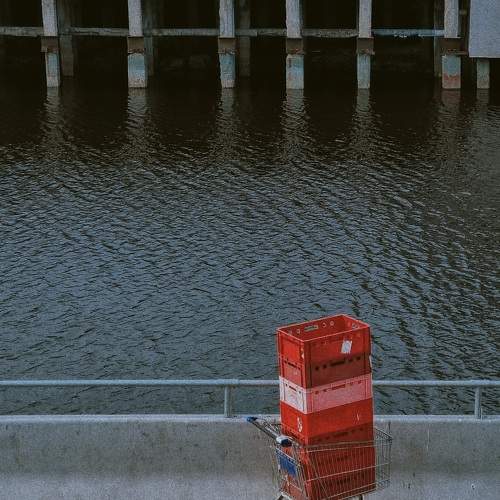 Photo #7614439