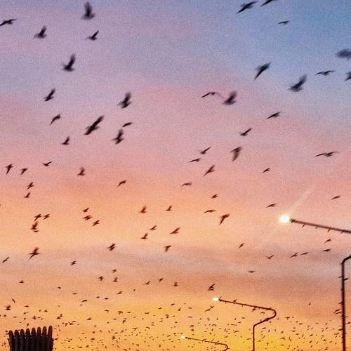 Photo #7614444