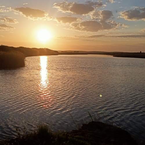 Photo #7614483