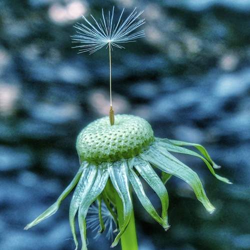 Photo #7614502
