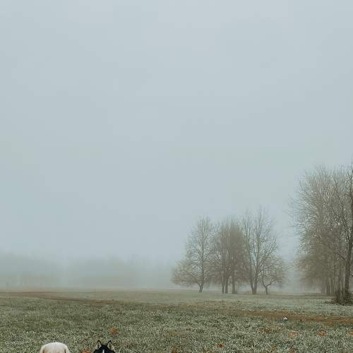 Photo #7614958