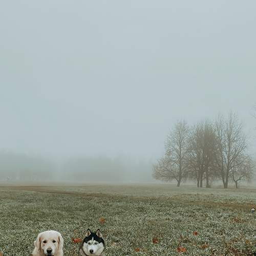 Photo #7614975