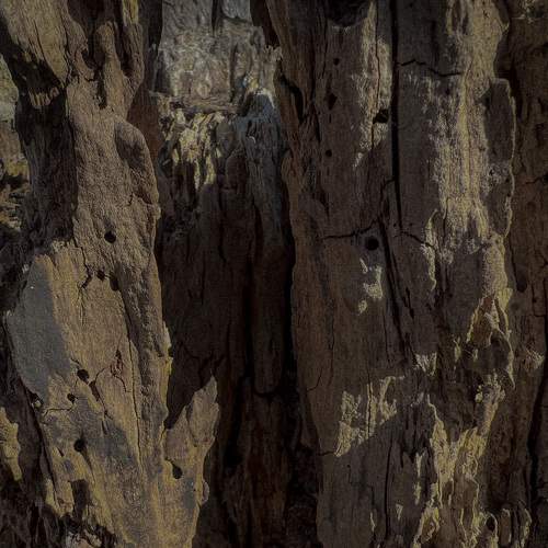 Photo #7614986
