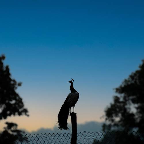 Photo #7615064