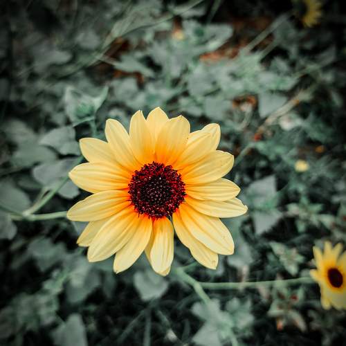 Photo #7615142