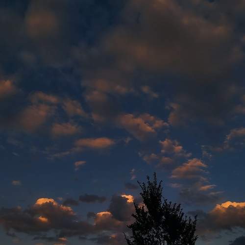 Photo #7615152
