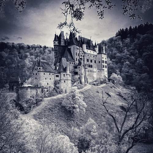 Photo #7615155