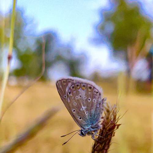 Photo #7615205