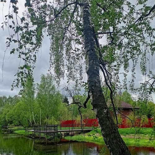 Photo #7615259