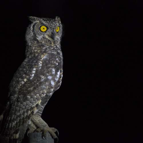 Photo #7615300