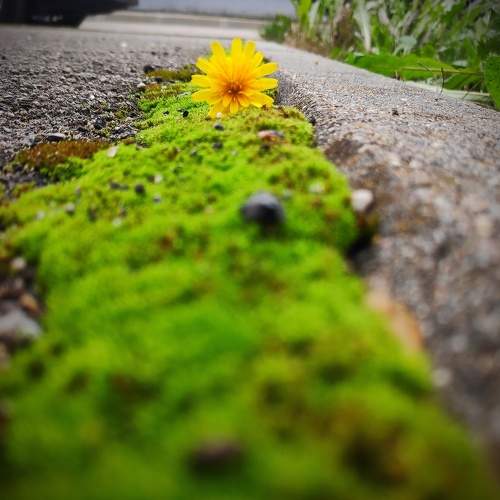 Photo #7615303