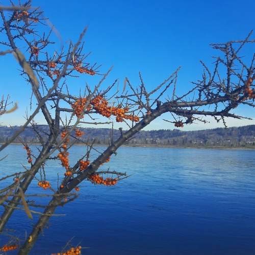 Photo #7615341