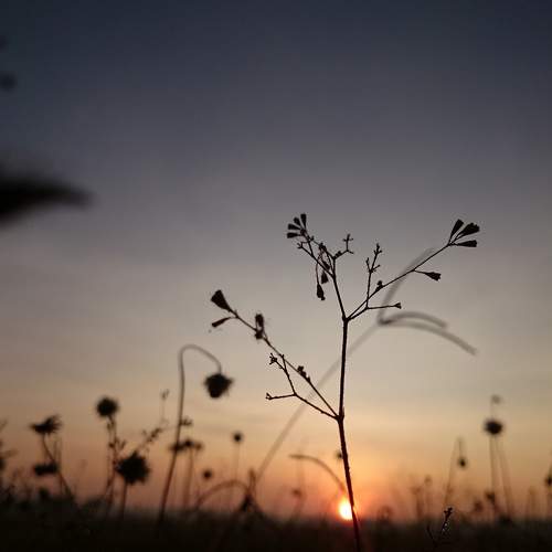 Photo #7615566