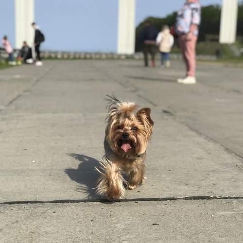 Photo #7615577