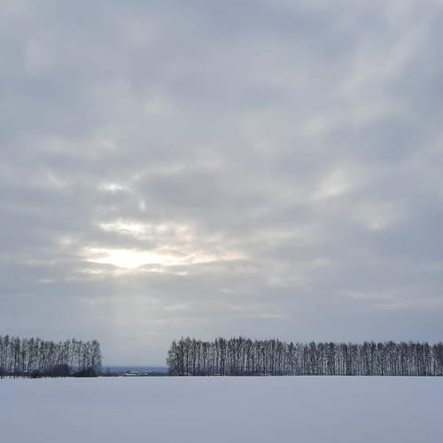 Photo #7615592