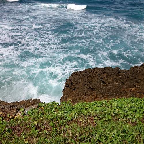 Photo #7615600