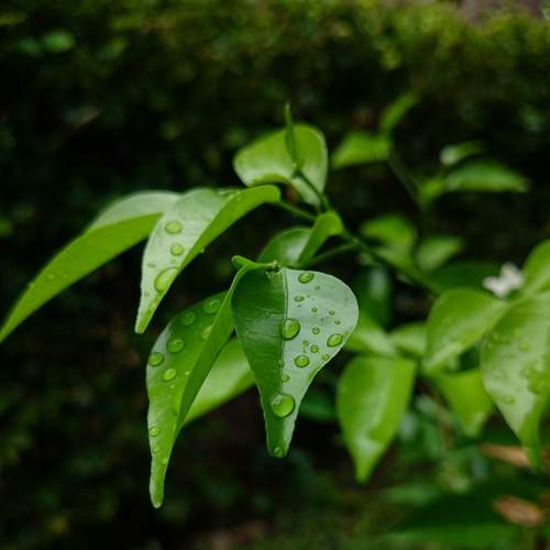 Photo #7615603