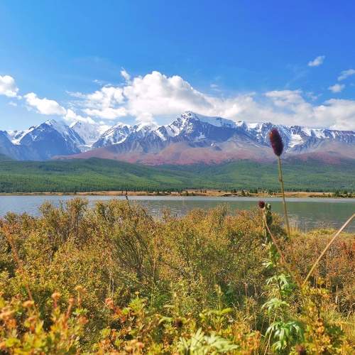 Photo #7615621