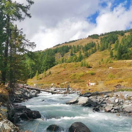 Photo #7615628