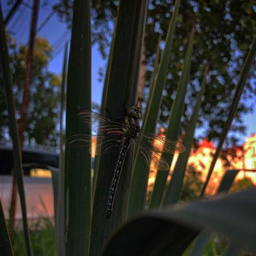 Photo #7615650